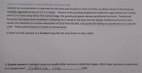 Image result for Calcium Regulation Feedback Loop
