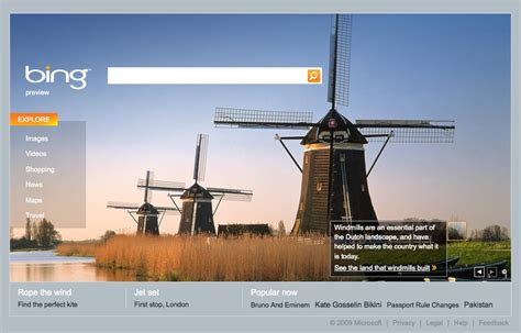 Toradh íomhá ar Bing PPC Tutorial