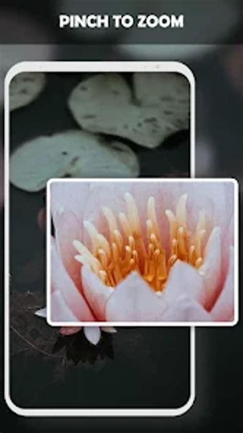 Microscope Camera App に対する画像結果