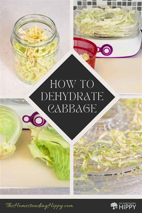 Easy Way to Dehydrate Cabbage