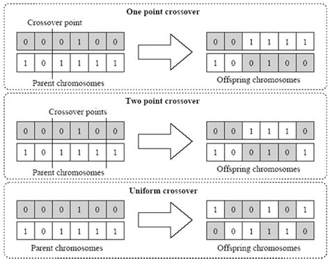 Image result for Edge Crossover Genetic Algorithm