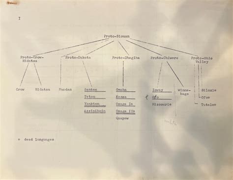 Toradh íomhá ar Coding Language Family Tree