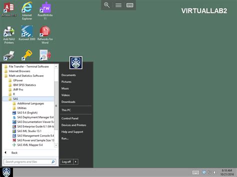Image result for SAS Virtualization Software