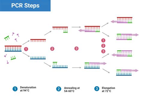 PCR Machine Types に対する画像結果