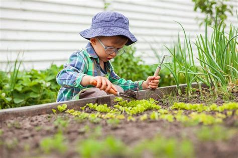 Children Growing Vegetables に対する画像結果