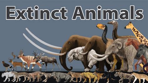 Afbeeldingsresultaten voor Animal Size Comparison Spore