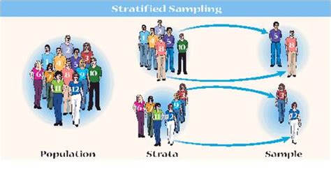 Stratified Random Sampling Graphical Representation に対する画像結果