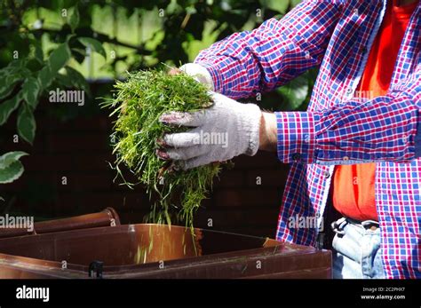 Image result for Man Throwing Garbage