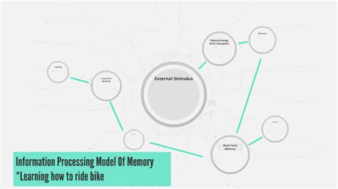 Toradh íomhá ar Information Processing Model of Memory Carpenter