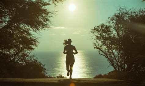 LT Code に対する画像結果