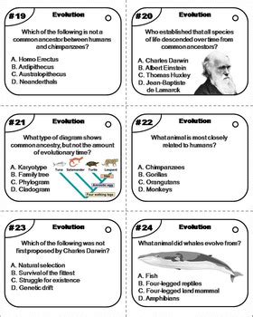 Evolution and Natural Selection Task Cards に対する画像結果