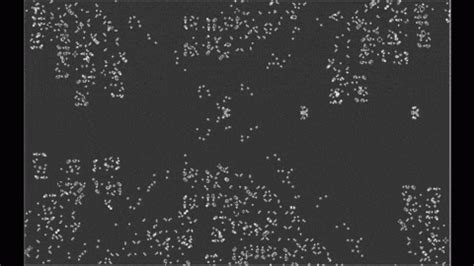 Image result for Python in Console GIF