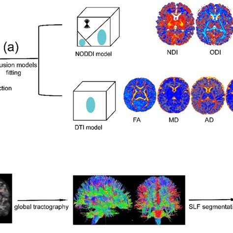 Afbeeldingsresultaten voor Diffusion Process Outline