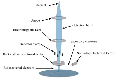 Image result for Components of Electron Microscope