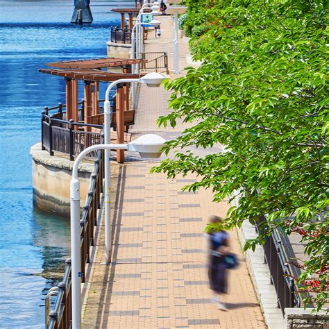 Branz Logo に対する画像結果