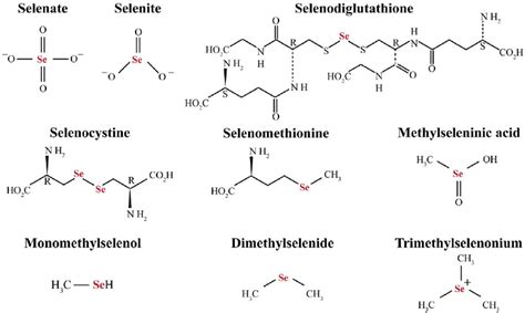 Image result for Selenium Compounds