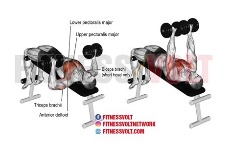 Afbeeldingsresultaten voor Decline Chest Press Machine
