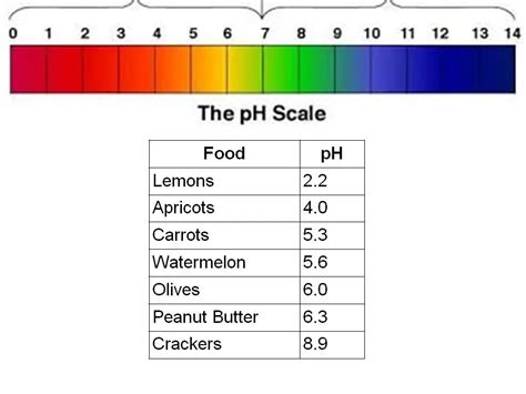 BrainPOP pH Scale Answer Key に対する画像結果