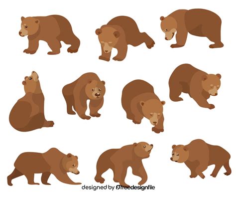 Image result for Bear Unity Vector