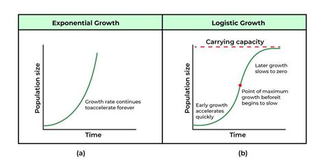 Exponential Growth Explained に対する画像結果