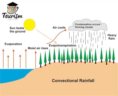 Image result for Rainfall Formation
