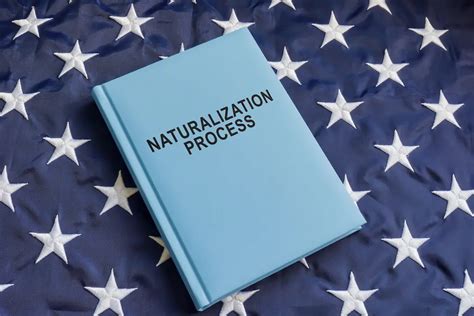 Naturalization Process Flow Chart に対する画像結果