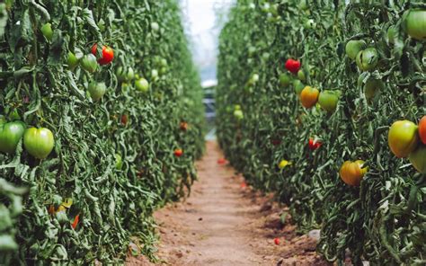 Image result for Value-Creation Examples