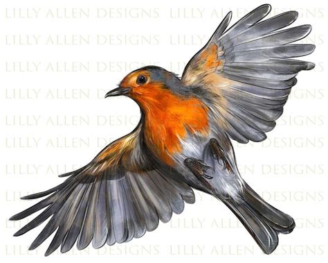 Image result for Robin Bird Vector Flying