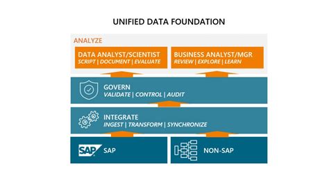 Image result for SAP Data Strategy