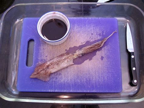 Image result for Ink Sac Real Life Squid