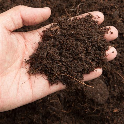 Toradh íomhá ar Humus Rich Compost