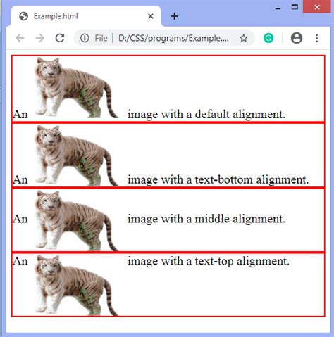 Image result for Vertical Align HTML