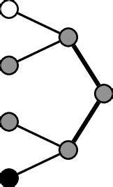 Image result for Decoder Tree