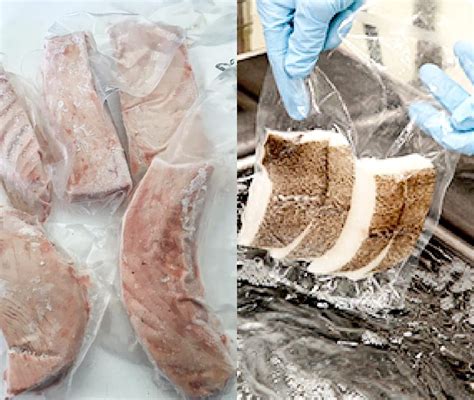 Image result for Test Package Freezer