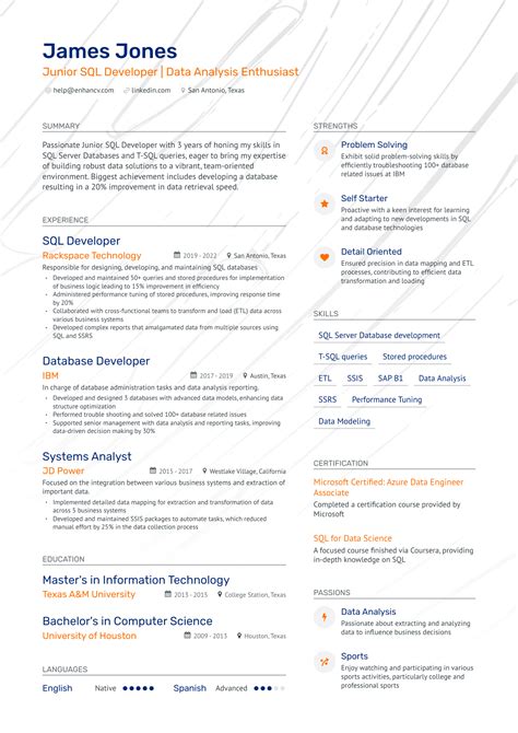 Profile SQL Developer in Resume に対する画像結果
