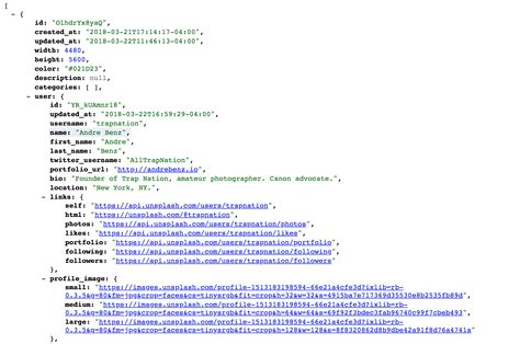 JSON Code Example Image に対する画像結果