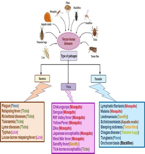 Block Diagram of Multimodal Machine Learning Algorithm for Vector Borne Disease に対する画像結果