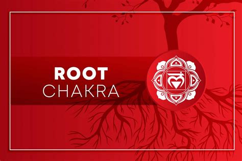Image result for Root Base Chakra