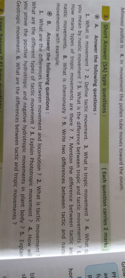 Image result for SA Question Examples