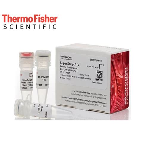 Reverse Transcriptase DNA Polymerase に対する画像結果