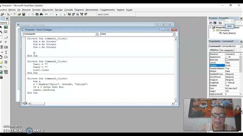 Toradh íomhá ar While Loop Visual Basic