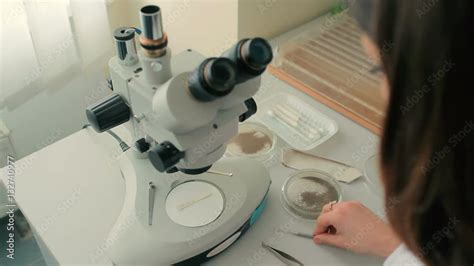 Paper Microscope See に対する画像結果