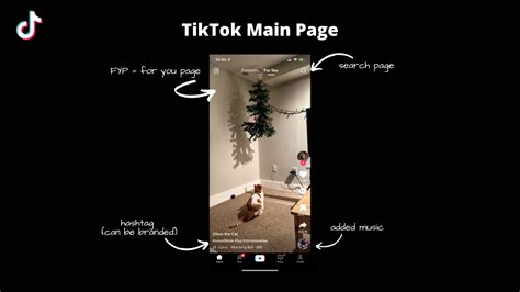Image result for Sample Temu Tik Tok Ads