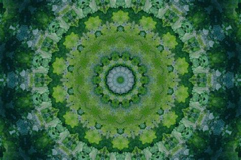 Toradh íomhá ar Psytrance Forrest Background