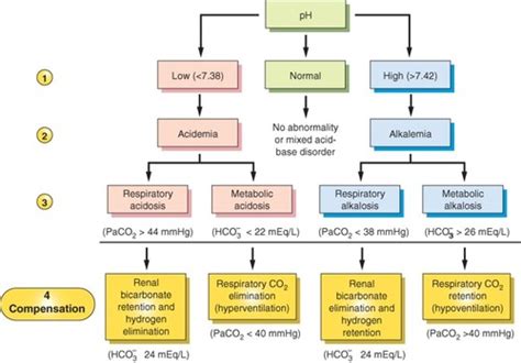 Image result for Acid-Base Balance Disorders