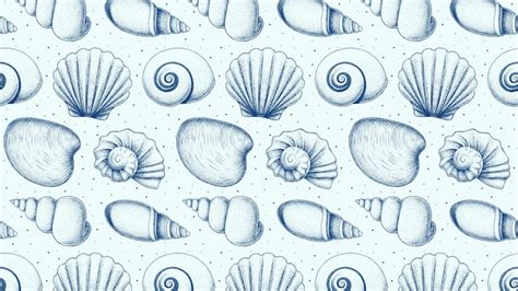 Sea Shell Vector Pattern에 대한 이미지 결과