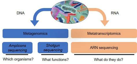 Image result for Analysis Methods