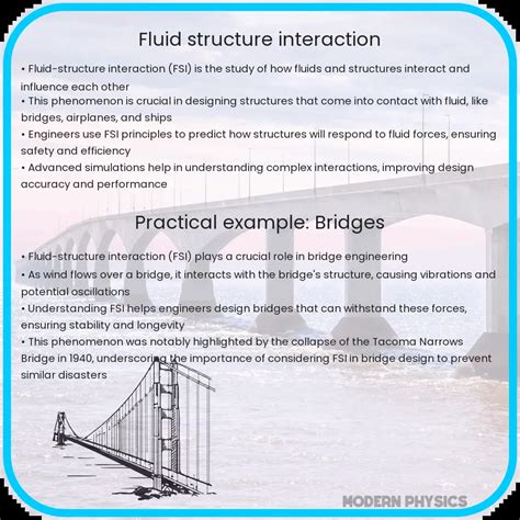 Image result for Fluid Structure Interaction