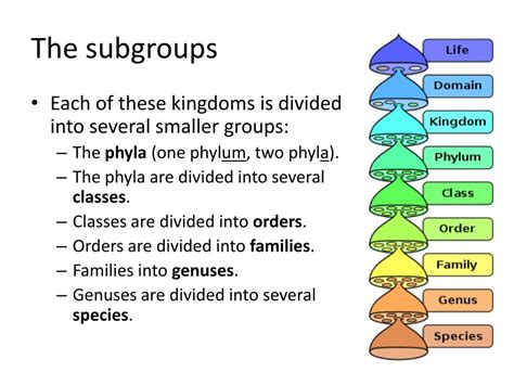 Image result for Classification System Acronym