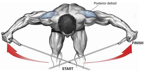 Internal Rotation Muscles に対する画像結果